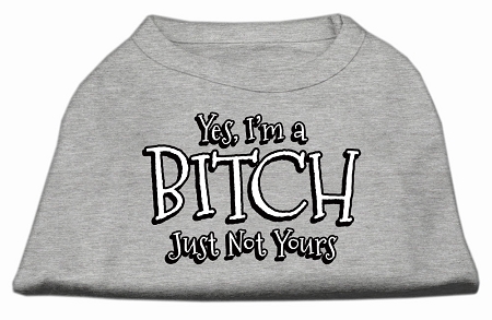 Yes I'm a Bitch Just not Yours Screen Print Shirt Grey XXL